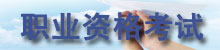 �ʸ�